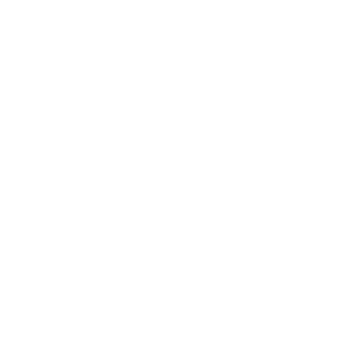 Vietnam's Premier International Rugby & Cultural Experience